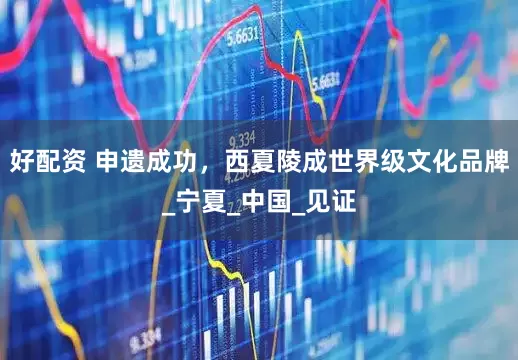 好配资 申遗成功，西夏陵成世界级文化品牌_宁夏_中国_见证